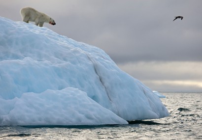 Adventure the Svalbard Archipelago on Norway cruises