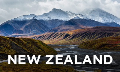 New Zealand Cruises