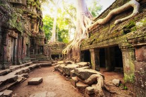 Angkor Wat Cambodia. Ta Prohm Khmer ancient Buddhist temple in jungle forest. Famous landmark, place of worship and popular tourist travel destination in Asia.