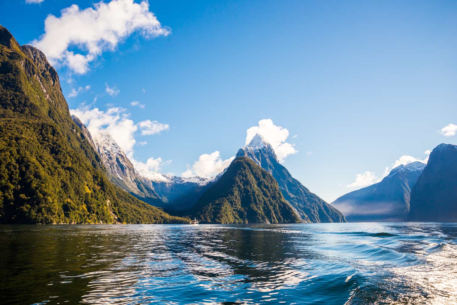 New Zealand Cruises from Brisbane, Sydney & Melbourne