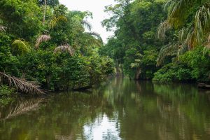 Tortuguero, Costa Rica