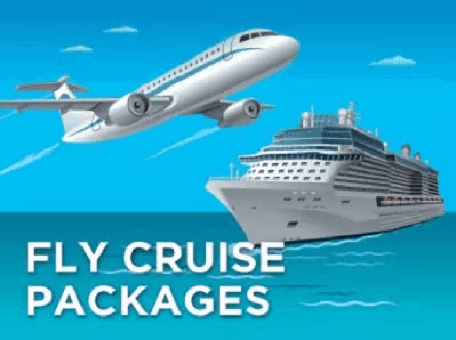 cruise guru price match