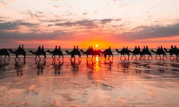 Cruises departing Broome